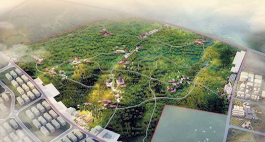 东沙生态公园绿化工程完工 预计明年全部建成并
